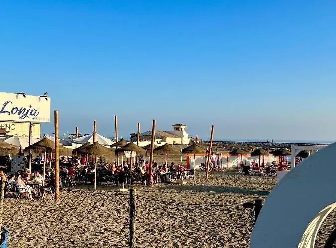 Fascinante Hogar En Cabo Pino En * 马尔韦利亚